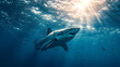 Great white shark and sun rays in ocean, generative ai