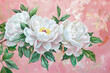 white peonies with leaves on pink background sv26 ped