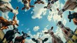Bottom view of cows standing in a circle against the sky. An unusual look at animals. Farm animal looking at camera