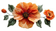 Embroidery flower on a transparent background. Flower png