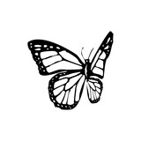 Fototapeta Motyle - Transparent Butterfly icon