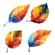 Set of watercolor vector autumn leaf.