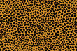 Leopard skin, Seamless animal pattern for design