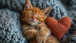 Pomarańczowy kociak śpiący na górze niebieskiego kocyka obok serduszka