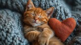 Fototapeta Niebo - Pomarańczowy kociak śpiący na górze niebieskiego kocyka obok serduszka