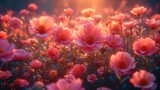 Fototapeta Fototapety do pokoju - Zdjęcie przedstawia pole różowych kwiatów z słońcem w tle.