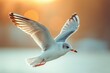 © ЮРИЙ ПОЗДНИКОВ - A seagull in flight: the splendor of its rising wings