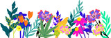 Fototapeta Panele - Bright and Bold Flower Display Background