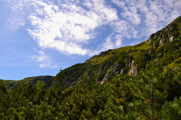 Wall Mural - View of the mountains from the blue trail to the Samotnia shelter. Trail from Karpacz, from the Wang Church to the Small Pond and the shelter. Giant Mountains, Poland