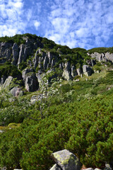 Wall Mural - View of the mountains from the blue trail to the Samotnia shelter. Trail from Karpacz, from the Wang Church to the Small Pond and the shelter. Giant Mountains, Poland