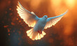© STORYTELLER - beautiful white dove bird wallpaper for peace day celebration