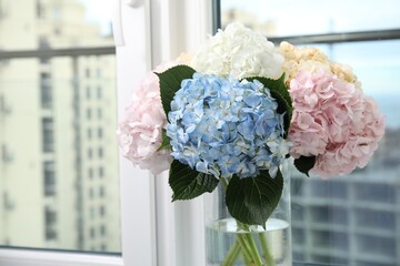 Canvas Print - Beautiful hydrangea flowers in vase near window, closeup