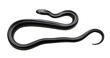 © PixMarket - Black snake isolated on transparent background, top view