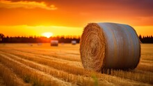 Image Of A Hay Bale In A Field.