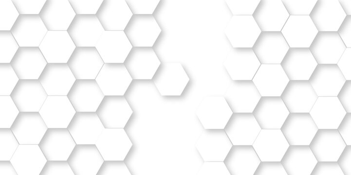 Abstract modern Background with white lines 3d Hexagonal structure futuristic white background and Embossed Hexagon , honeycomb white Background ,light and shadow ,Vector.