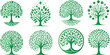 Green tree of life, eco friendly tree icons, perfect for branding, nature logos, eco friendly campaigns. Vibrant, diverse designs symbolizing growth, ecology