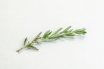 Rosemary branch - organic spicy herb