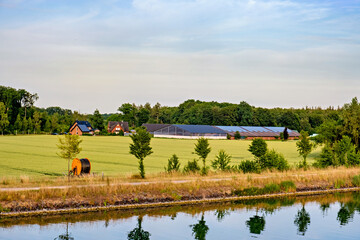 Wall Mural - Horse grazes next to small stream