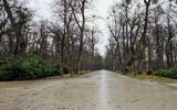 Fototapeta Sawanna - Wet path in the park