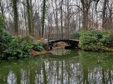 Fototapeta Sawanna - River and bridge in a Polish park