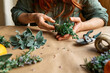 © Caterina Trimarchi - Herbal medicine. Woman's hands preparing eco friendly medicinal herbs for drying. Herbalist preparing herbs for natural herbal methods of treatment. Alternative medicine.