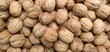 Organic background walnuts, pattern. Walnut in shell isolated. Nuts packaging design, background walnuts closeup.
