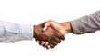 © DYNECREATIVE - Black men and white men handshaking on white backgrounds. Deal with a project.