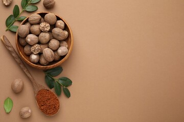 Wall Mural - Flat lay composition with nutmegs on light brown background. Space for text