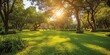 © Bussakon - Lush green trees in public park embodying tranquility of nature sunny landscape perfect for spring and summer showcasing beauty of well manicured lawns and vibrant foliage ideal for outdoor relaxation