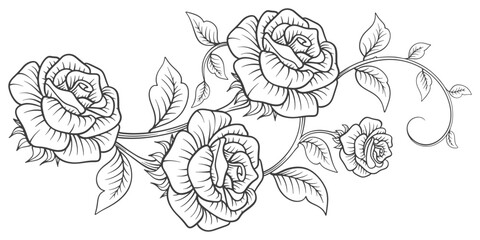 Wall Mural - black and white rose flower. Sketch Floral Botany Collection. flower drawings. Black and white with line art on white backgrounds. Hand Drawn Botanical Illustrations.Vector.