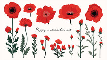 Poppy Flowers Watercolor Art Free Stock Photo - Public Domain Pictures