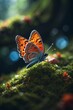 Motyl w akcji: Dynamiczne ujęcie elegancji natury