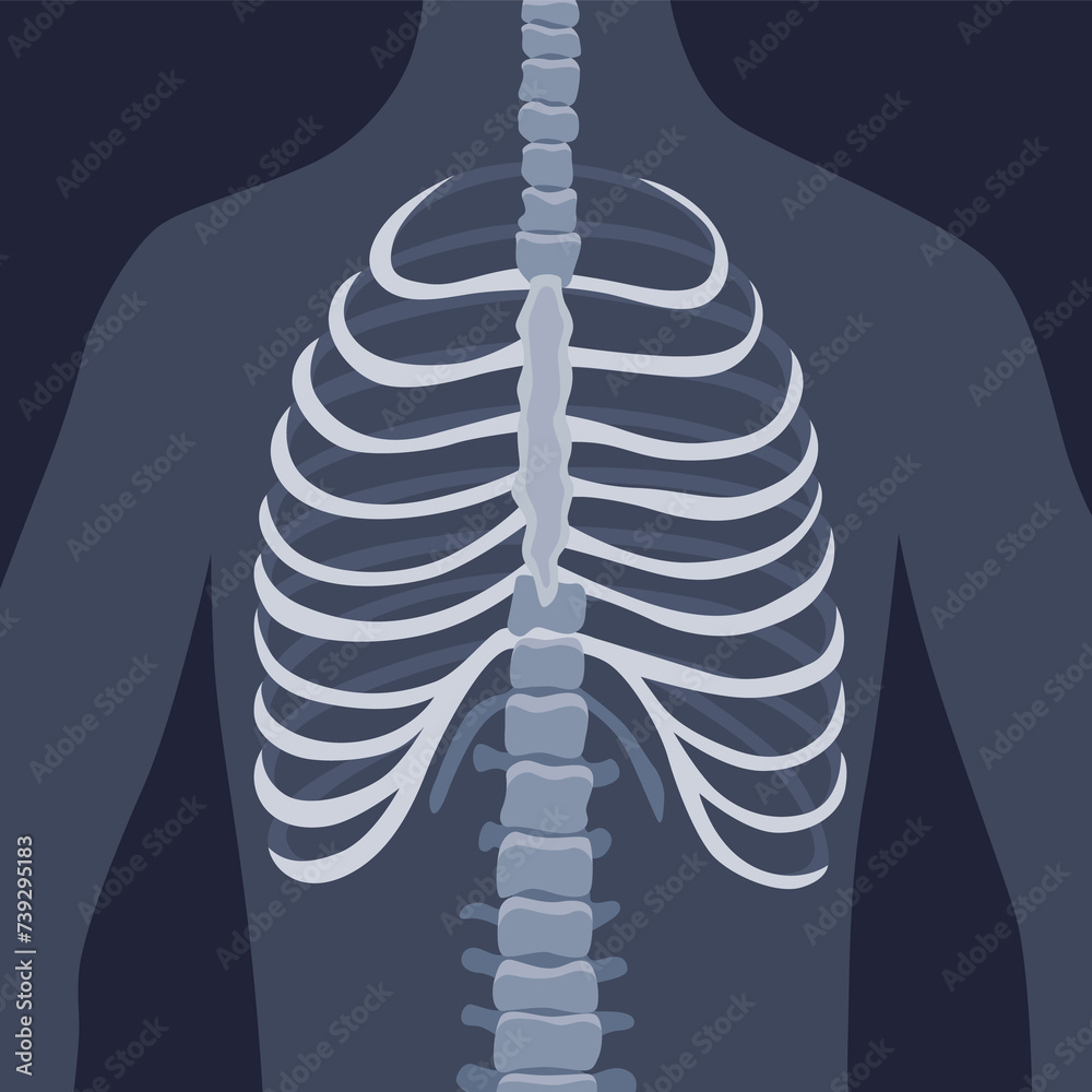 Human bones orthopedic and skeleton icon, bone x-ray image of human ...
