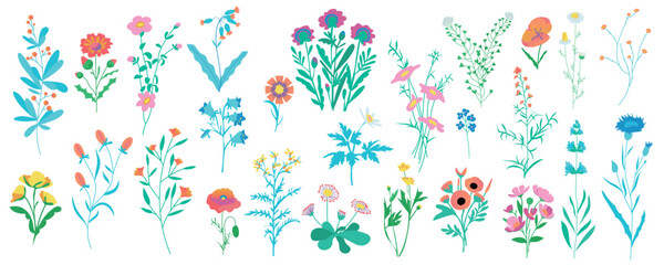Leinwandbilder - Field flowers mega set in cartoon graphic design. Bundle elements of chamomile, cornflower, poppy, bluebell, daisy and other wildflowers and flowering herbs. Vector illustration isolated objects