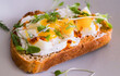 Toast with boiled Egg, microgreens on plate. Healthy vegetarian breakfast, toasted bread for menu, advert or package, selective focus.