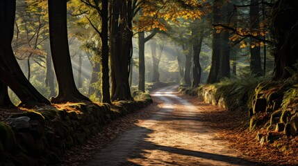 Wall Mural - A misty morning on a secluded forest trail, the path covered in a carpet of fallen leaves, the trees