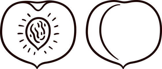 Hand drawn peach doodle, black and white line art. Whole and cut fruit. Simple cartoon drawing, clip art illustration.