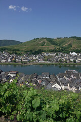 Sticker - Zell an der Mosel