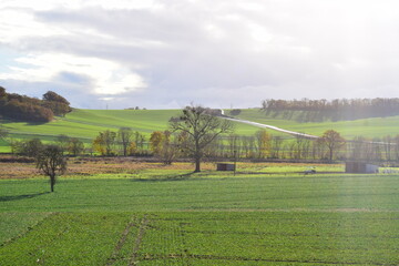 Wall Mural - Thürer Wiesen in autumn evening light