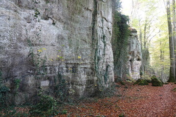 Wall Mural - Felsen im Muellerthal