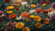 Farbenprächtige Blumen im Sommergarten – Perfekt für Dekoration