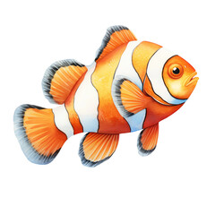 Poster - Clownfish Watercolor Illustration Transparent Background