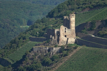 Poster - Ruine Ehrenfels am Rhein