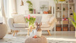Cute bunny in cozy living room. Easter home decoration. Scandinavian interior design. White and beige furniture. Concept for home and interior magazine. 
