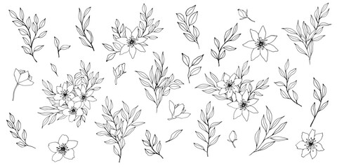Wall Mural - Set of vector composition with flower, leaves and branch. Elegant art for decoration. ink hand drawing monochrome botanical illustration for backgrounds, wedding cards, polygraph, logo, tattoo