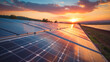 © Luluraschi - solar panels on a sunset