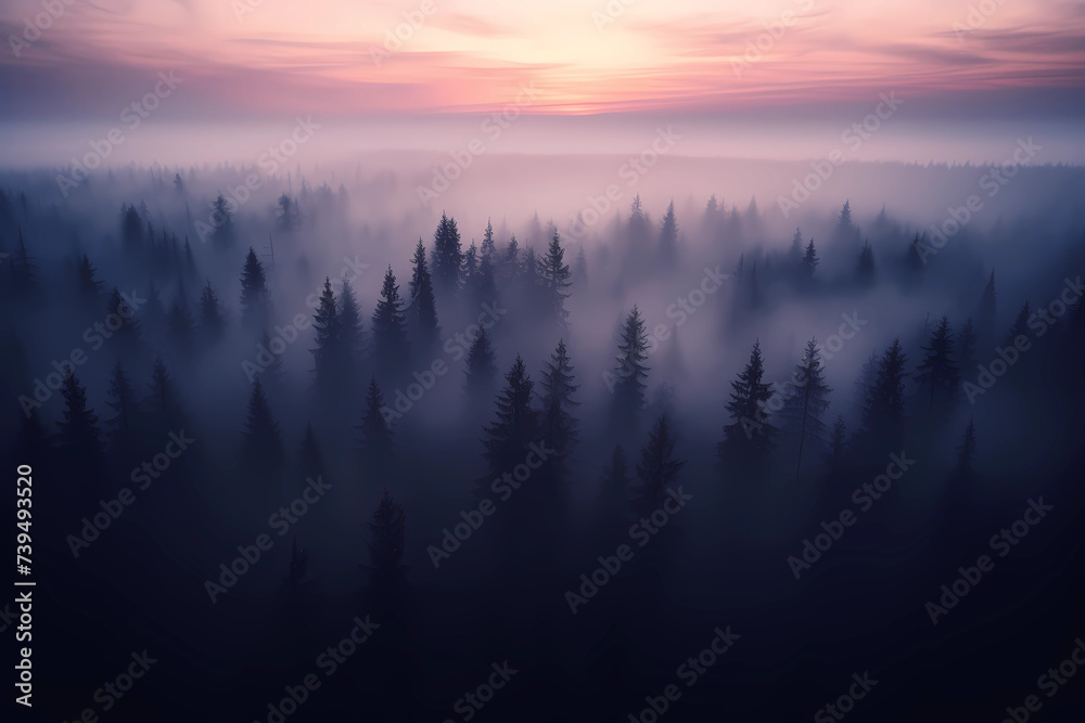 A misty pine tree forest at dusk envelops the landscape in an ethereal ...