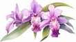 Beautiful purple orchid (Cattleya) flower with green leaves. Watercolor painting wet on wet. Hand drawn. Blurred background