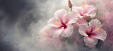 Hibiskus, abstrakcyjne tło, różowe  kwiaty i dym
