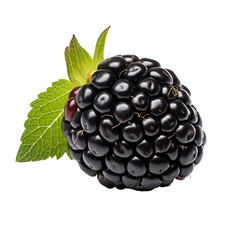 Sticker - blackberry isolated on white background